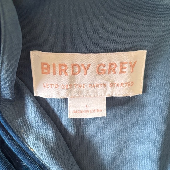 Birdy Grey Velvet floor length dress in Peacock blue - Picture 4 of 13